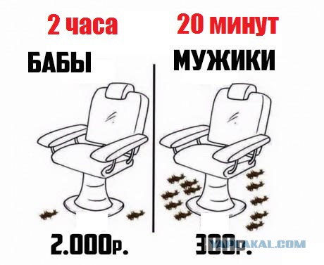 В парикмахерской