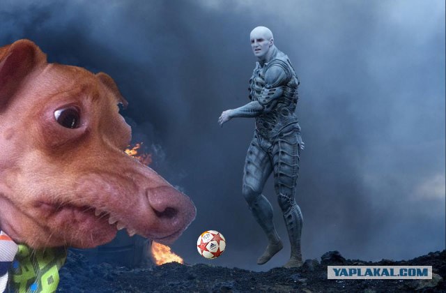 Бабуля перепутала таблетки.