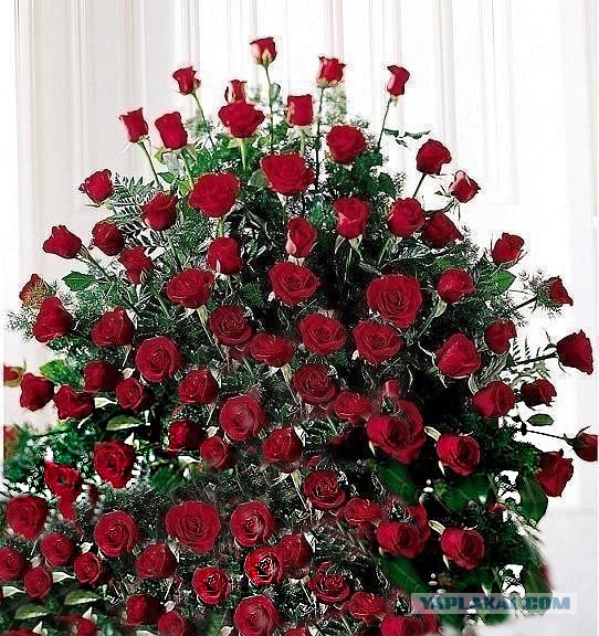 Вот тут мой мозг просто тупо умер.