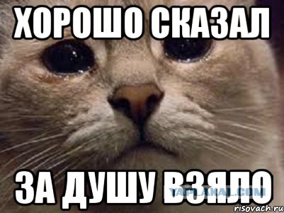 "Я не на уроке русского языка!"