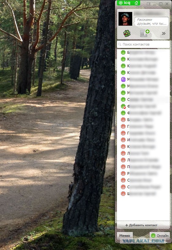 ICQ всё, таво, отошла?