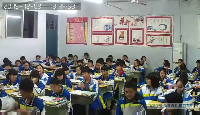 За что я люблю китайцев