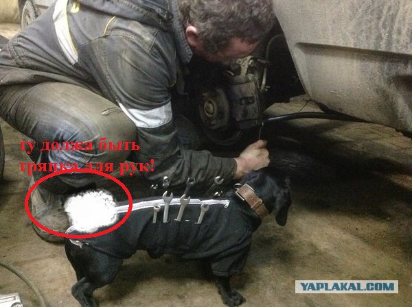 Новый сотрудник автосервиса