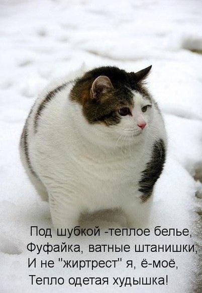 Забавные картинки из Сети