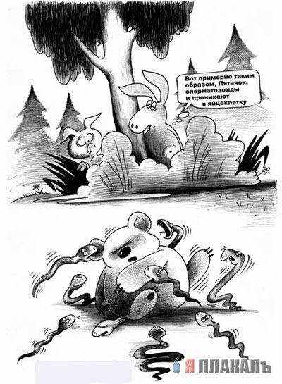 КАРИКАТУРЫ. Прикольные карикатуры