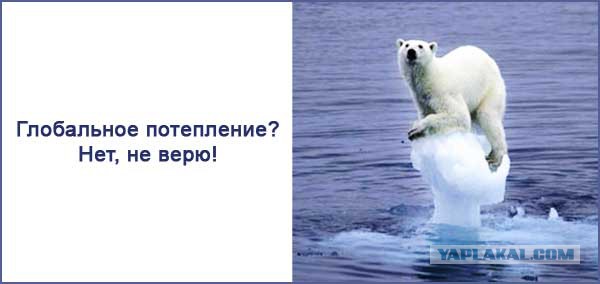 Прозрение ТНТ