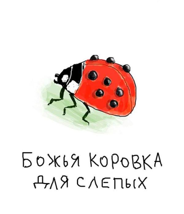 Большая подборка картинок