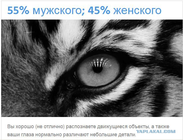 Тест: Вы воспринимаете этот мир глазами мужчины или женщины?
