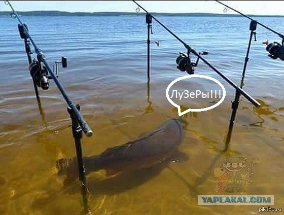 Всех с Днем РЫБАКА! Ни хвоста, ни чешуи!