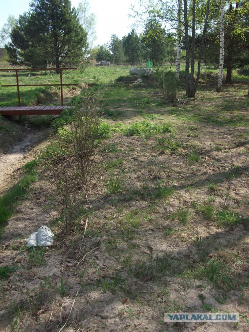 Хорошо иметь домик в деревне. История из жизни.