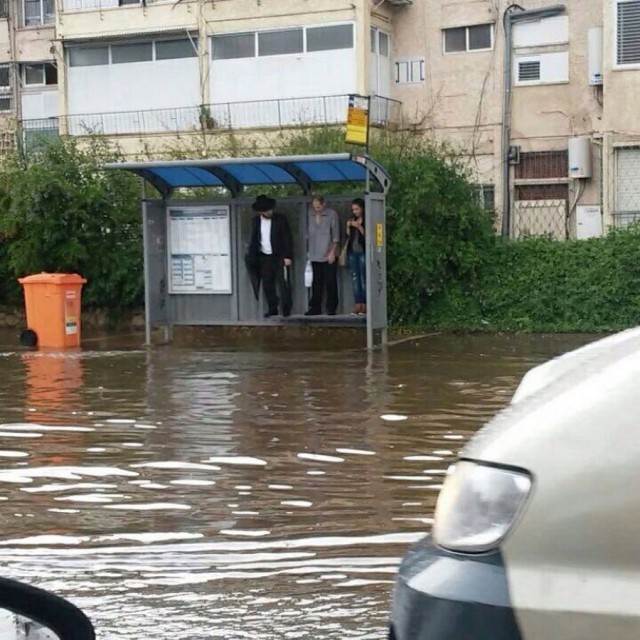 Подборка интересных и веселых картинок