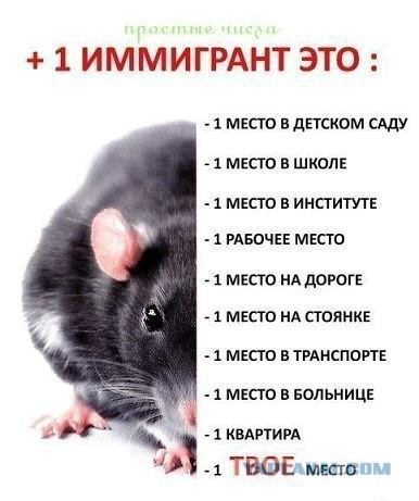 Как я перестал пользоваться услугами мигрантов и не помер