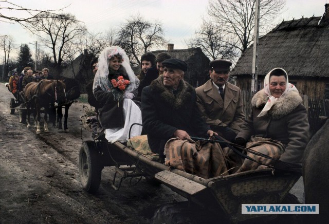 Загнивающий запад, вся правда 18+