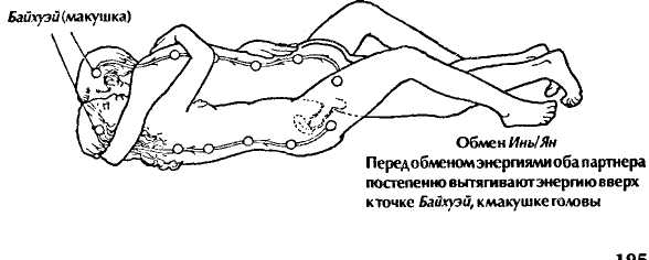 От чего зависит количество партнеров у женщины?