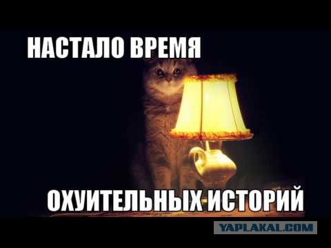 Админ и Барби