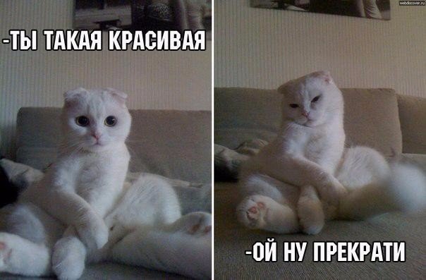 130 картинок для поднятия настроения!