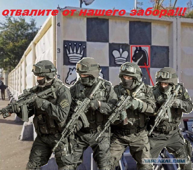 Да чё за хрень-то?!