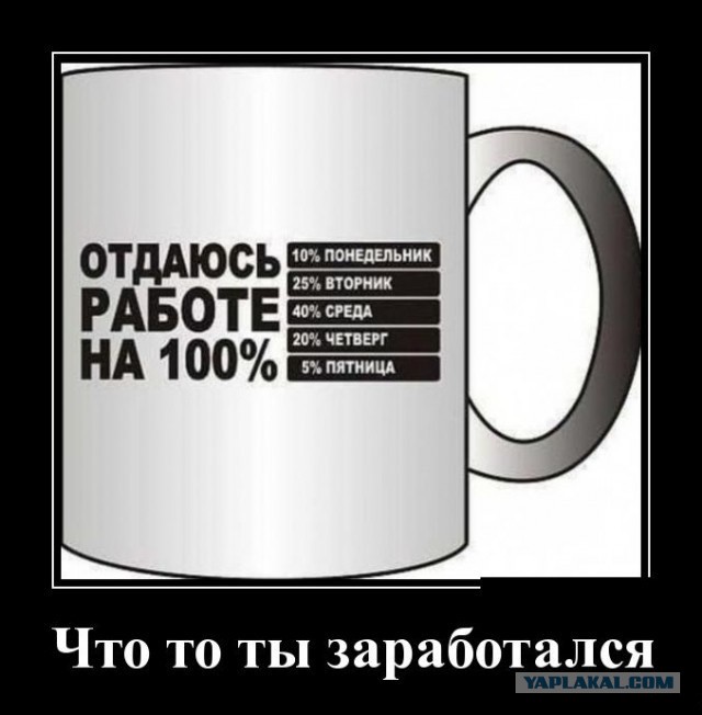 Жириновский предложил отменить новогодние каникулы