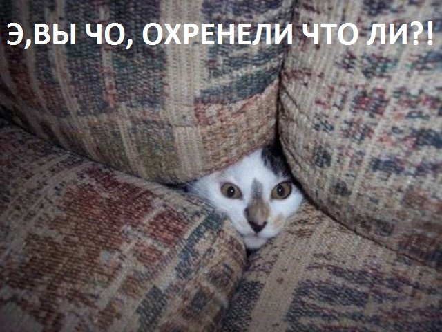 Вы спрашивали, что такое псевдодеменция, коллеги