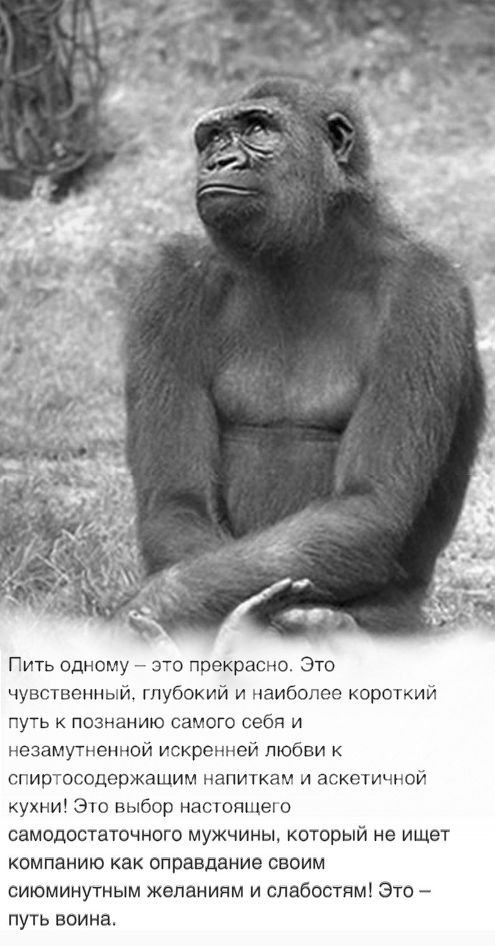 Немного веселых картинок из этих наших интернетов