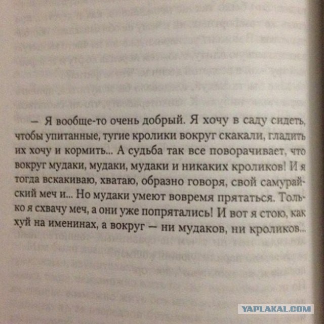 Нестандартный юмор