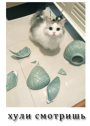 Нестандартный юмор