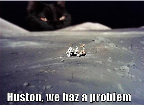 Котейкин вторник! Космический 12.04!