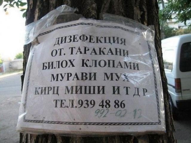 Насяльника! Визиткама делаль!