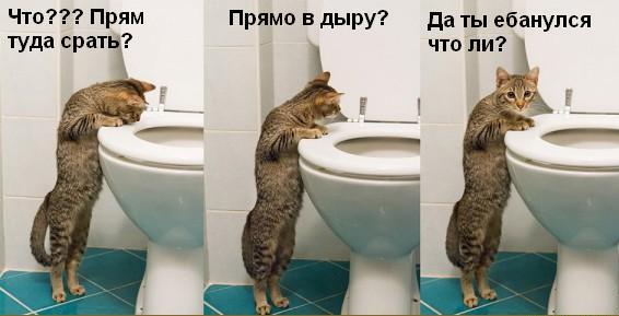 Немного странного юмора на вечер