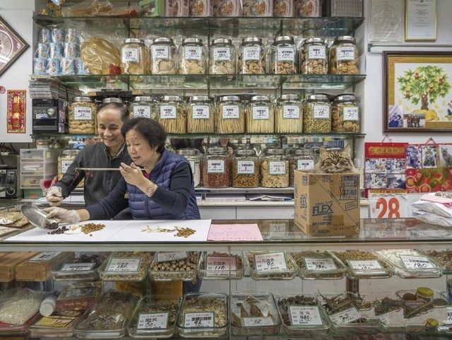 Прикольных котов пост