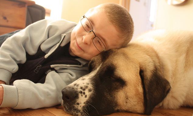 Трехногий пес помогает мальчику-инвалиду
