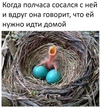 Женился на разведёнке с "прицепом" и развёлся через неделю