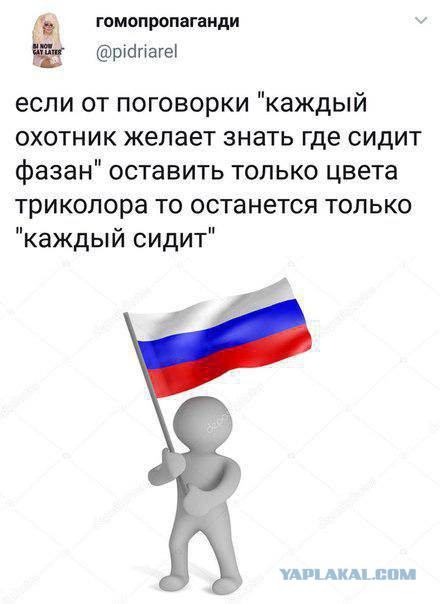 Как избежать задержания на митинге