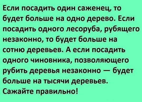 Правильные посадки.