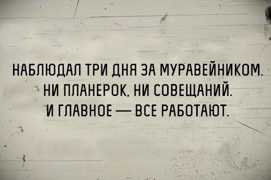 13484142.jpg
