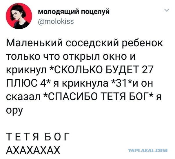 Картинки с надписями, истории и анекдоты 24.11.19