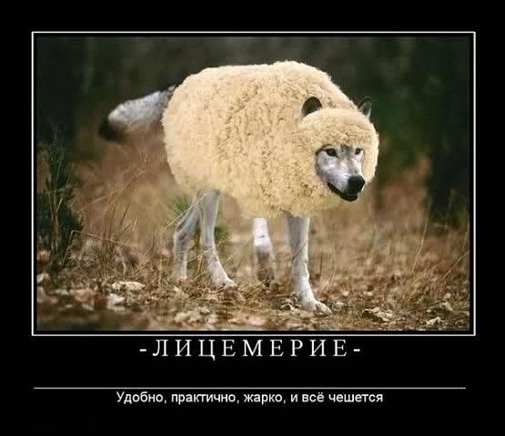 Депутат Госдумы сравнила малоимущих россиян с уголовниками