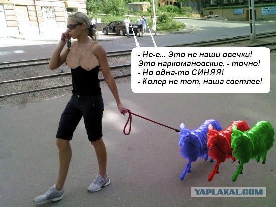 Перис Хилтон из Фрязино