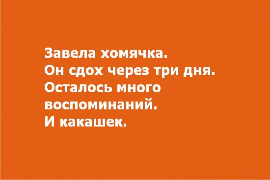 Фотожаба: осталось родить сына?