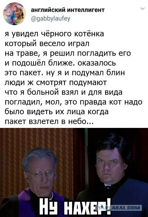 Позитивные картинки на 15.06.2020