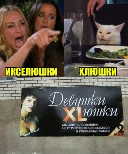 Прошёл целый год! А они всё орут на бедного котика