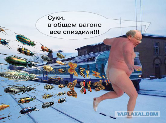 Битва фотожаберов (Команда №3)