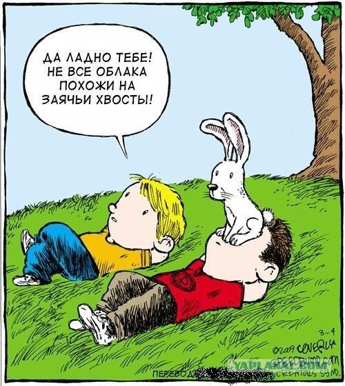 Смотрим на облака вместе