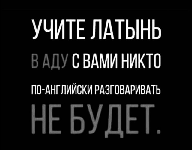 Фотки и картинки: юморные и красивые, забавные и милые 28.09.20