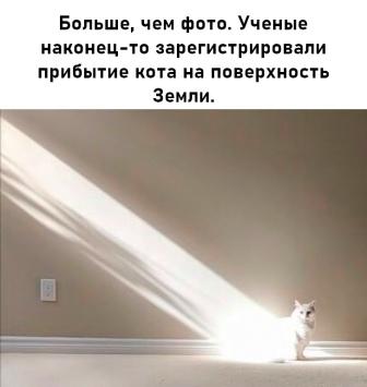 Фотки и картинки: юморные и красивые, забавные и милые 13.11.20