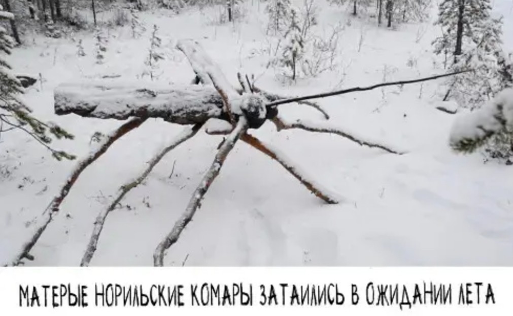 https://s00.yaplakal.com/pics/pics_original/2/4/1/15030142.jpg