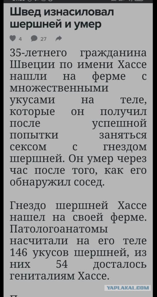 Бредзона 24.01.21