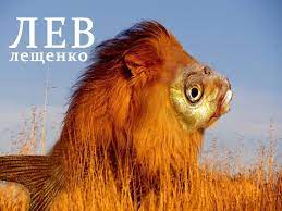 Дед фигни не скажет