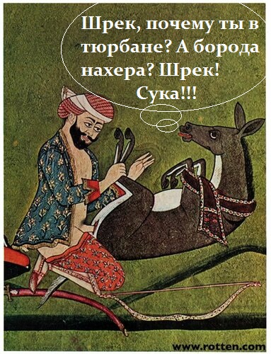 Осёл: Животное с «двойным дном». Почему лошади не способны их заменить? Какие у ослов есть особые способности?