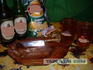 Кто чем на кухне орудует?